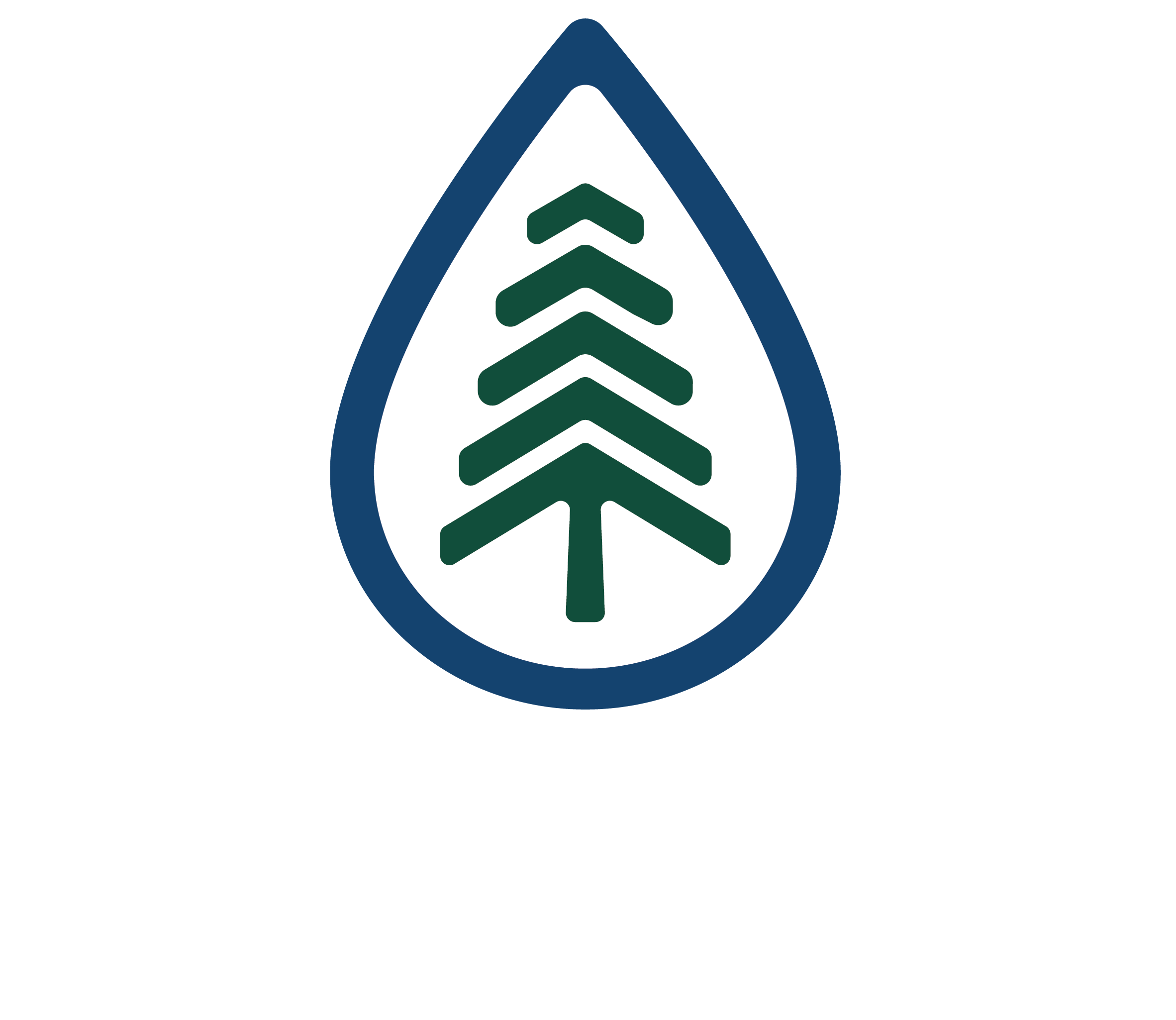 Blue Pine Plumbing
